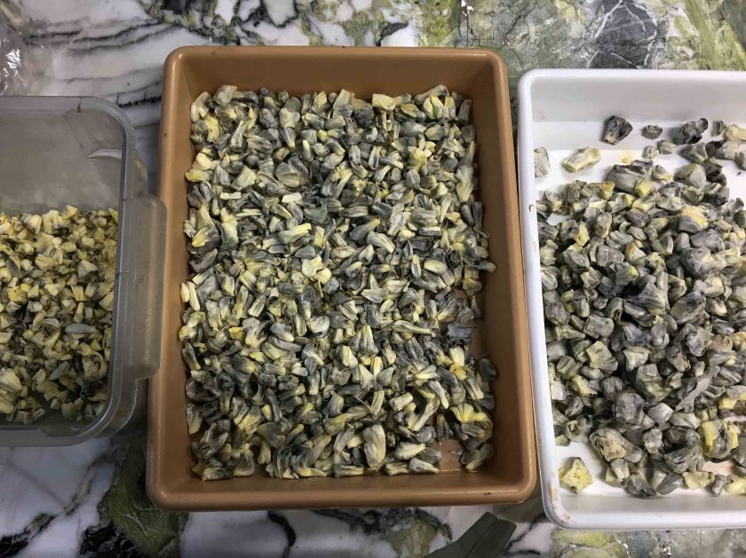 Quintonil_March17-30