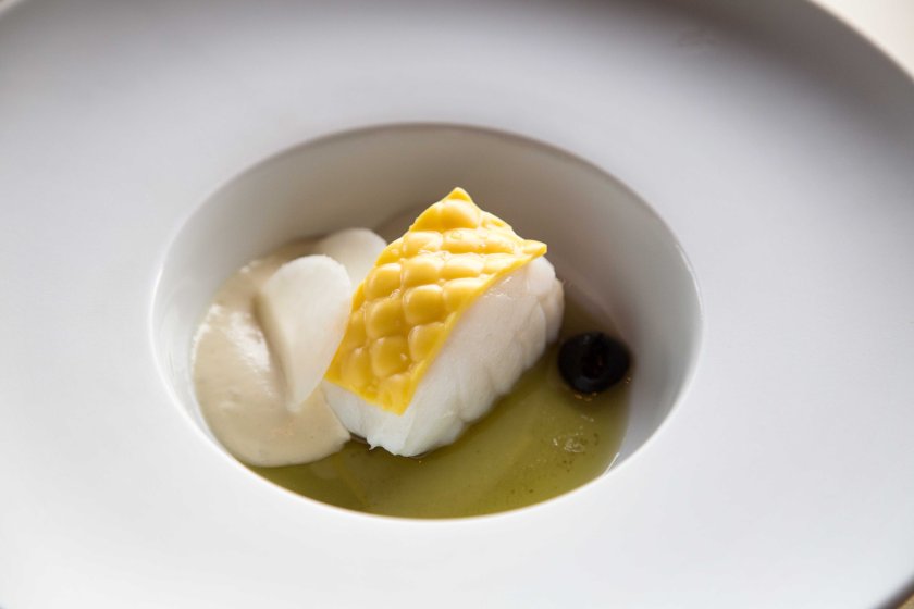 Samhoudplaces_july17-20